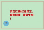 灵芝红底(红色灵芝，聚焦健康：重塑生机！)