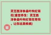 灵芝西洋参桑叶枸杞菊花(重塑养生：灵芝西洋参桑叶枸杞菊花奇效，让你远离疾病)