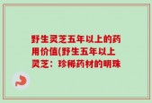 野生灵芝五年以上的药用价值(野生五年以上灵芝：珍稀药材的明珠