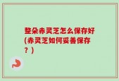 整朵赤灵芝怎么保存好(赤灵芝如何妥善保存？)