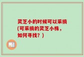 灵芝小的时候可以采摘(可采摘的灵芝小株，如何寻找？)