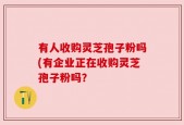 有人收购灵芝孢子粉吗(有企业正在收购灵芝孢子粉吗？