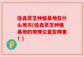 佳鑫灵芝种植基地在什么地方(佳鑫灵芝种植基地的地理位置在哪里？)