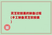 灵芝软胶囊的制备过程(手工制备灵芝软胶囊)