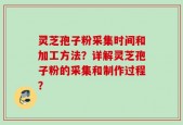 灵芝孢子粉采集时间和加工方法？详解灵芝孢子粉的采集和制作过程？