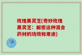 玫瑰黑灵芝(奇妙玫瑰黑灵芝：解密这种混合药材的功效和用途)