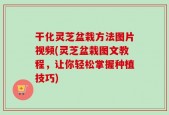 干化灵芝盆栽方法图片视频(灵芝盆栽图文教程，让你轻松掌握种植技巧)