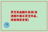 灵芝贡品图片高清(高清图片展示灵芝珍品，惊艳视觉享受)