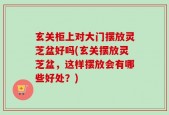 玄关柜上对大门摆放灵芝盆好吗(玄关摆放灵芝盆，这样摆放会有哪些好处？)