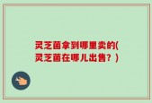 灵芝菌拿到哪里卖的(灵芝菌在哪儿出售？)