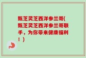 甄芝灵芝西洋参兰哥(甄芝灵芝西洋参兰哥联手，为你带来健康福利！)