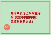 如何从灵芝上采取孢子粉(灵芝中的孢子粉：采摘与利用方式)
