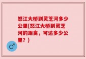 怒江大桥到灵芝河多少公里(怒江大桥到灵芝河的距离，可达多少公里？)