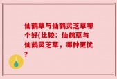 仙鹤草与仙鹤灵芝草哪个好(比较：仙鹤草与仙鹤灵芝草，哪种更优？