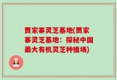 贾家寨灵芝基地(贾家寨灵芝基地：探秘中国最大有机灵芝种植场)