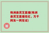 株洲县灵芝直播(株洲县灵芝直播走红，万千网友一同见证)