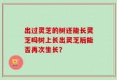 出过灵芝的树还能长灵芝吗树上长出灵芝后能否再次生长？