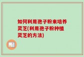 如何利用孢子粉来培养灵芝(利用孢子粉种植灵芝的方法)