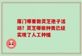 厦门哪里做灵芝孢子活动？灵芝哪些种类已经实现了人工种植