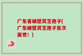 广东省破壁灵芝孢子(广东破壁灵芝孢子首次面世！)
