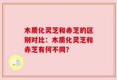 木质化灵芝和赤芝的区别对比：木质化灵芝和赤芝有何不同？