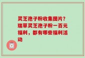 灵芝孢子粉收集图片？瑞草灵芝孢子粉一百元福利，都有哪些福利活动