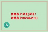 吾凰在上灵芝(灵芝：吾凰在上的药品之王)