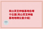 周口灵芝种植基地在哪个位置(周口灵芝种植基地地理位置介绍)