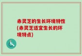 赤灵芝的生长环境特性(赤灵芝适宜生长的环境特点)