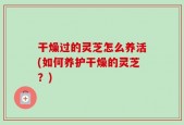 干燥过的灵芝怎么养活(如何养护干燥的灵芝？)