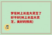 梦见树上长出大灵芝了好不好(树上长出大灵芝，美好的预兆)