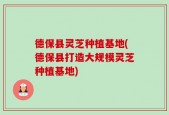 德保县灵芝种植基地(德保县打造大规模灵芝种植基地)