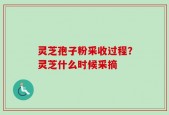 灵芝孢子粉采收过程？灵芝什么时候采摘