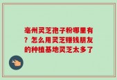 亳州灵芝孢子粉哪里有？怎么用灵芝赚钱朋友的种植基地灵芝太多了