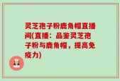 灵芝孢子粉鹿角帽直播间(直播：品鉴灵芝孢子粉与鹿角帽，提高免疫力)