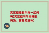 灵芝菇能和牛肉一起炖吗(灵芝菇与牛肉搭配炖汤，营养又滋补)