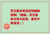 灵芝菌肉类型区别图解视频(「图解」灵芝菌肉分类与区别，看完不再混淆！)