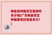梅县有种植灵芝基地吗多少钱(广东梅县灵芝种植基地价格是多少？)