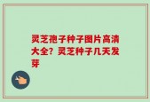 灵芝孢子种子图片高清大全？灵芝种子几天发芽