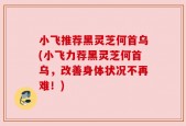 小飞推荐黑灵芝何首乌(小飞力荐黑灵芝何首乌，改善身体状况不再难！)