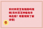 农村种灵芝有销路吗视频(农村灵芝种植有市场出路？观看视频了解详情)