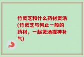竹灵芝和什么药材煲汤(竹灵芝与何止一般的药材，一起煲汤提神补气)