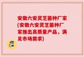 安徽六安灵芝菌种厂家(安徽六安灵芝菌种厂家推出高质量产品，满足市场需求)