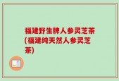 福建野生牌人参灵芝茶(福建纯天然人参灵芝茶)