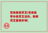 苍南县摘灵芝(苍南县举办摘灵芝活动，新鲜灵芝直销市场)