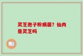 灵芝孢子粉病菌？仙肉是灵芝吗