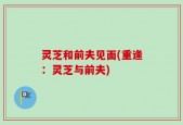 灵芝和前夫见面(重逢：灵芝与前夫)