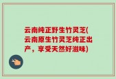 云南纯正野生竹灵芝(云南原生竹灵芝纯正出产，享受天然好滋味)