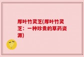 厚叶竹灵芝(厚叶竹灵芝：一种珍贵的草药资源)