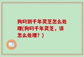 狗叼到千年灵芝怎么处理(狗叼千年灵芝，该怎么处理？)